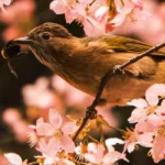 A bird is perched on the branch of a tree.