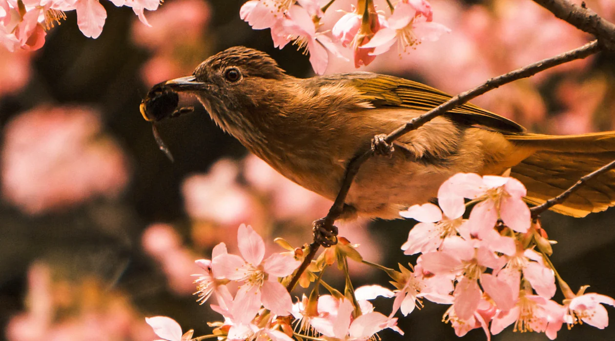 A bird is perched on the branch of a tree.